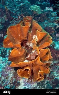 Elephant Ear Sponge:  A Master of Marine Camouflage with a Striking Shape That Mimics its Terrestrial Counterpart!